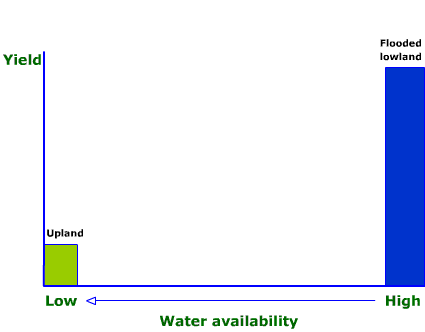 Water Saving Options