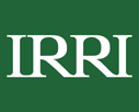 irri logo