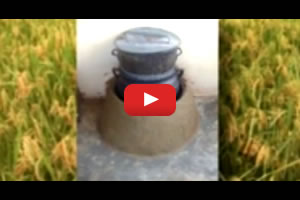 Cashing in with parboiled rice