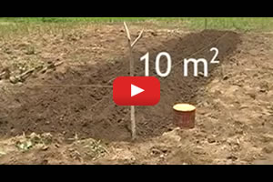 Rice seedbed preparation