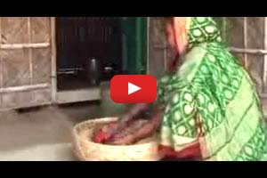 Rice Seed Preservation Technique (Bangla