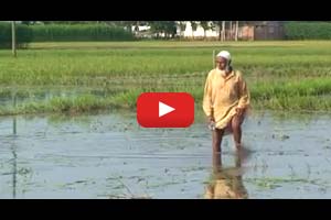 Coping with floods in northwestern Bangladesh