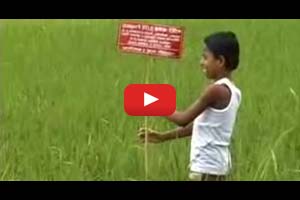 Livelihood Improvement through Ecology (LITE)