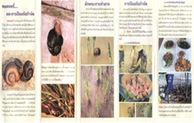 brochures-bulletins01