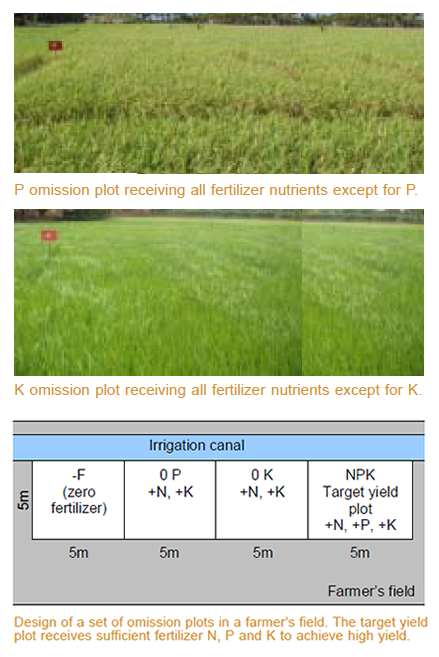 factsheet-nutrient-omission-plots