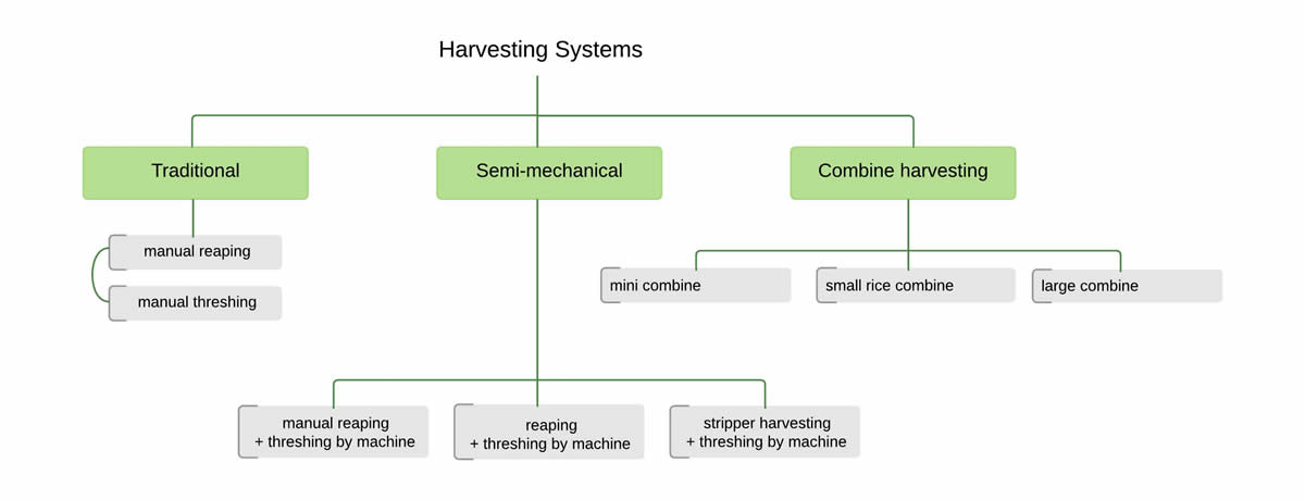 Storage systems - IRRI Rice Knowledge Bank