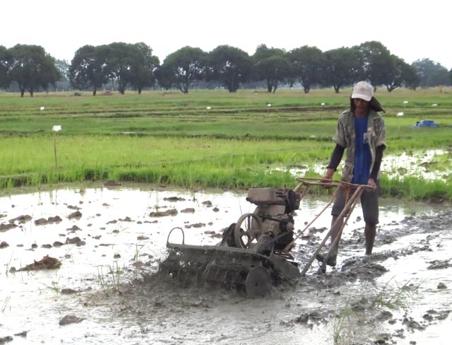 5 Preparations for the Philippines' Rainy Season