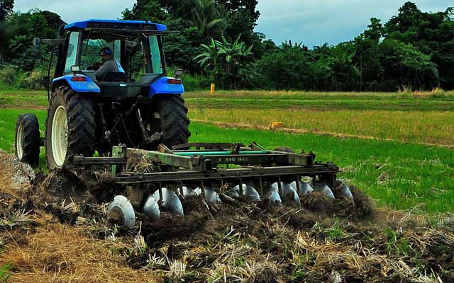 Upland Rice Production Manual