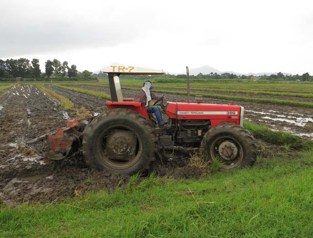 landprep-rotary-tilling