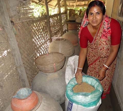 Grain storage - IRRI Rice Knowledge Bank