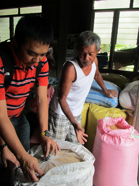 Grain storage - IRRI Rice Knowledge Bank