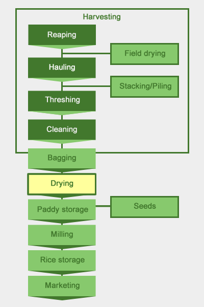 postharvest-system-for-drying