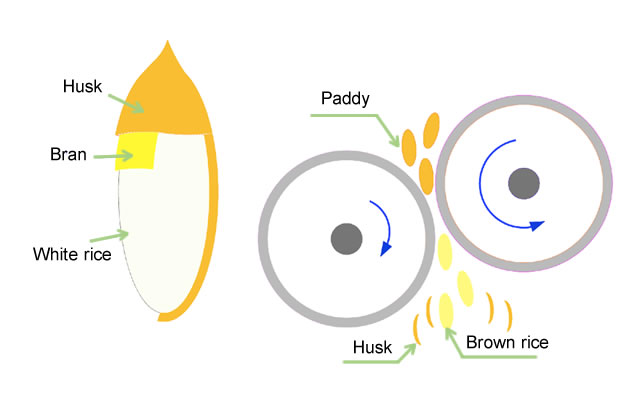 rice-husk-diagram