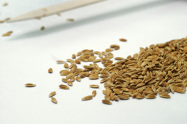 rice-seeds
