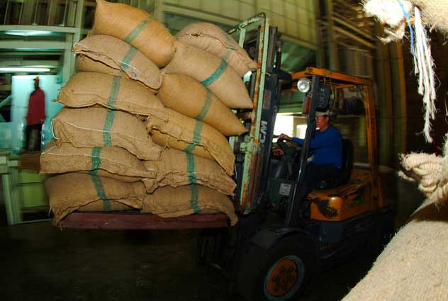 Grain storage - IRRI Rice Knowledge Bank